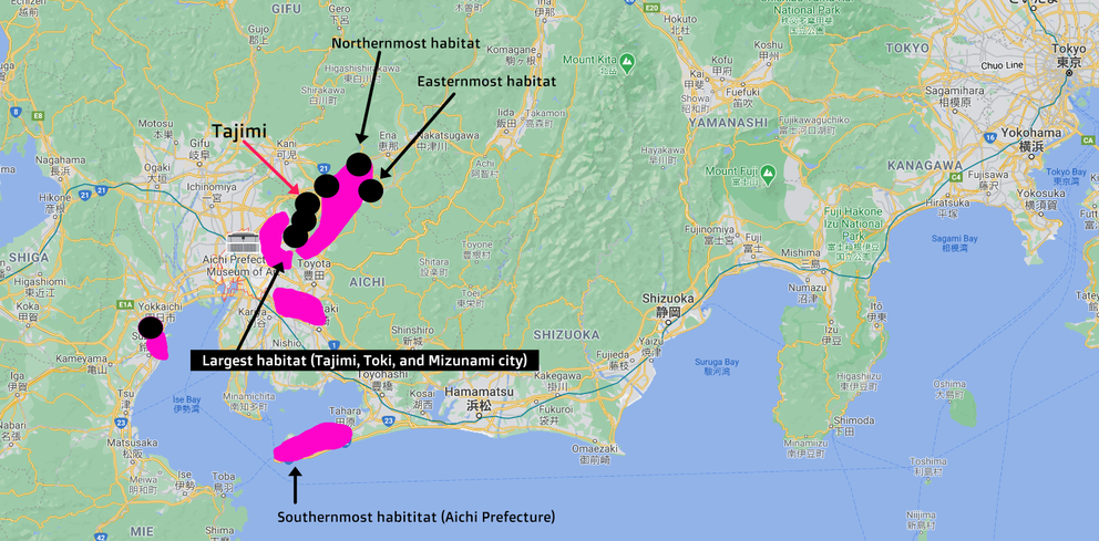 Map of Shidekobushi habitats in Japan